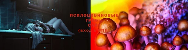 MESCALINE Аркадак