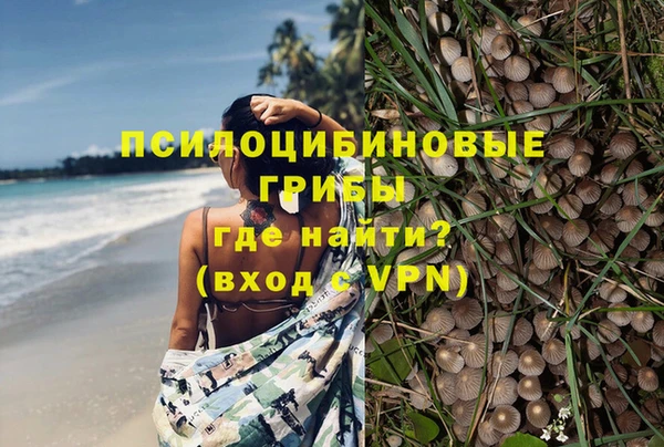 MESCALINE Аркадак